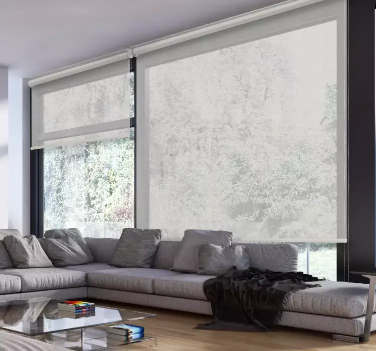 Proceso de Lavado de Rollers